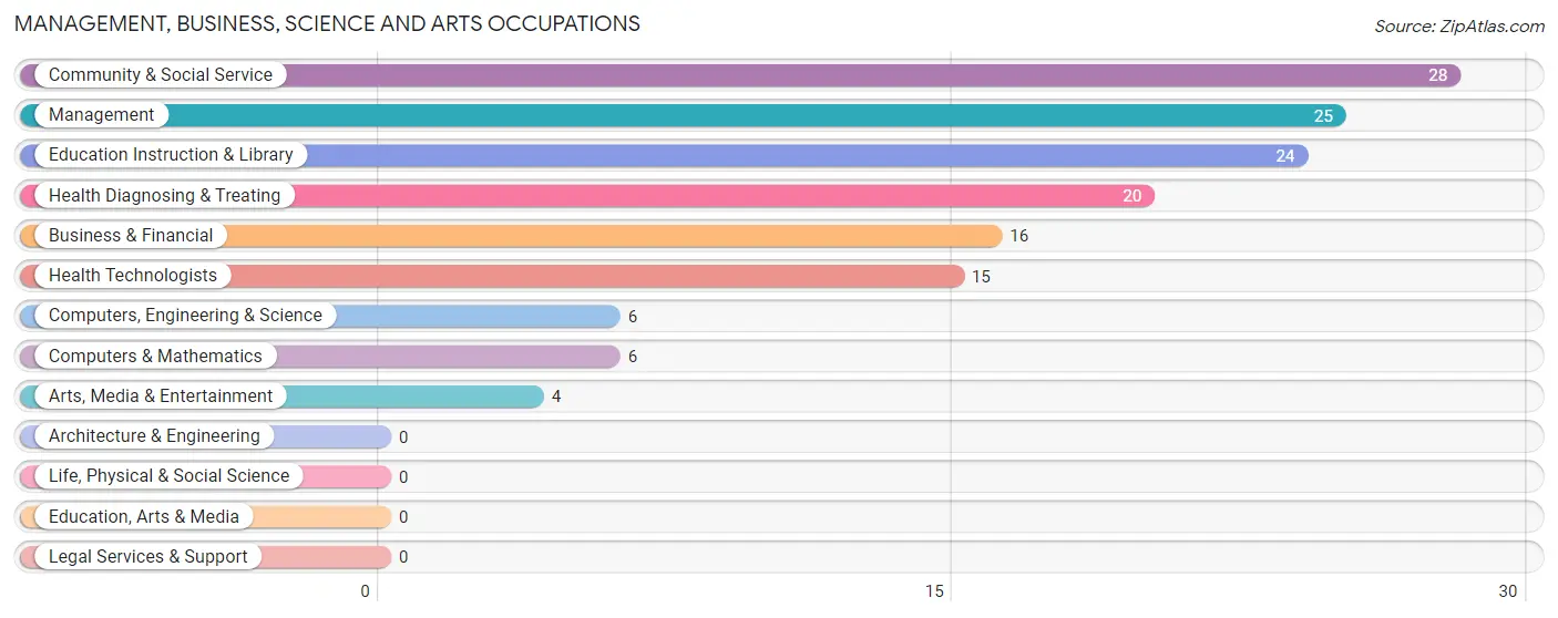 Management, Business, Science and Arts Occupations in Zip Code 04658