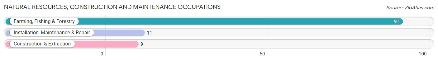 Natural Resources, Construction and Maintenance Occupations in Zip Code 04658
