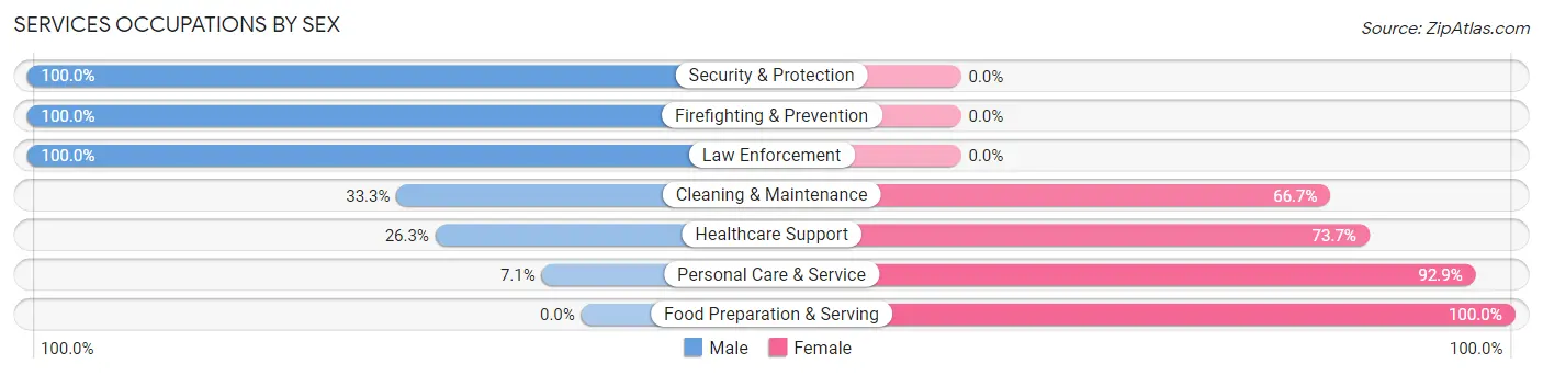 Services Occupations by Sex in Zip Code 04664