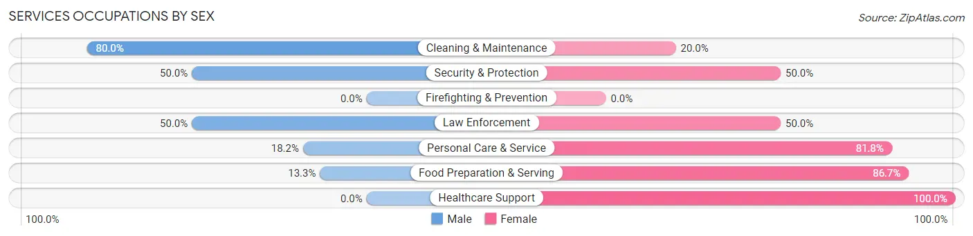 Services Occupations by Sex in Zip Code 04671