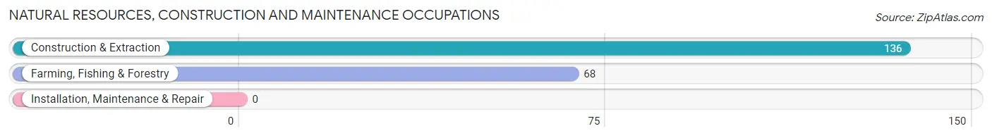 Natural Resources, Construction and Maintenance Occupations in Zip Code 04676