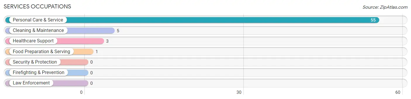Services Occupations in Zip Code 04677