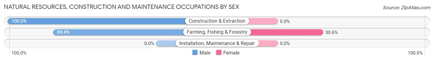 Natural Resources, Construction and Maintenance Occupations by Sex in Zip Code 04685