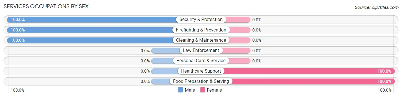 Services Occupations by Sex in Zip Code 04686