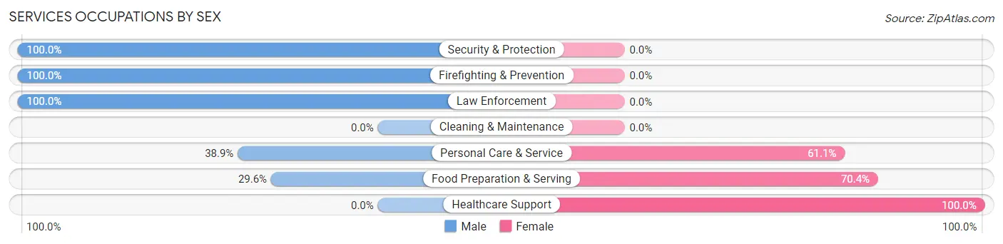 Services Occupations by Sex in Zip Code 04691