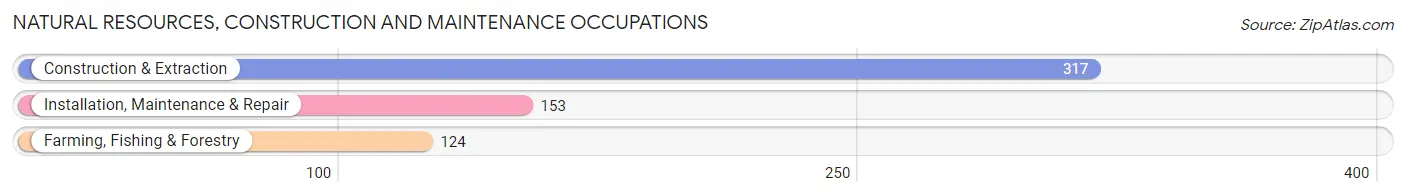 Natural Resources, Construction and Maintenance Occupations in Zip Code 04730