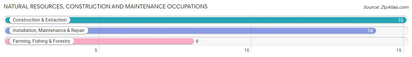 Natural Resources, Construction and Maintenance Occupations in Zip Code 04735