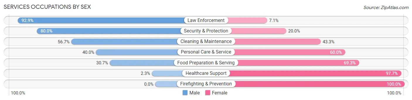 Services Occupations by Sex in Zip Code 04736