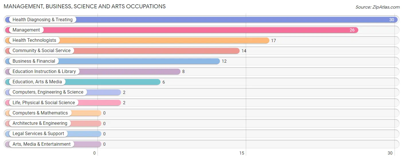 Management, Business, Science and Arts Occupations in Zip Code 04739