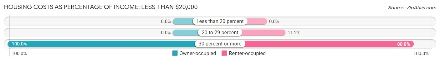 Housing Costs as Percentage of Income in Zip Code 04742: <span>Less than $20,000</span>