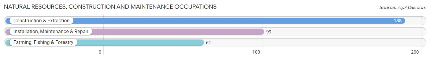 Natural Resources, Construction and Maintenance Occupations in Zip Code 04743