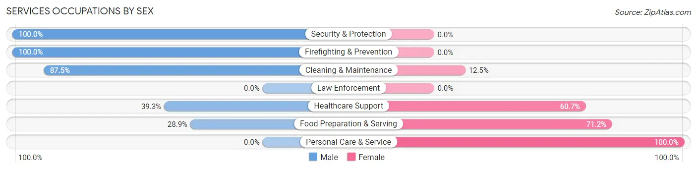 Services Occupations by Sex in Zip Code 04750