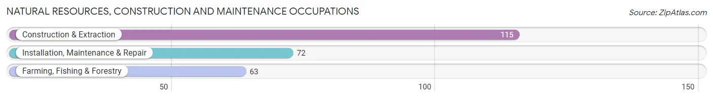 Natural Resources, Construction and Maintenance Occupations in Zip Code 04757