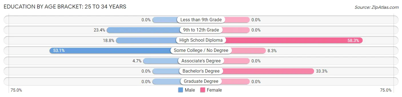 Education By Age Bracket in Zip Code 04763: 25 to 34 Years