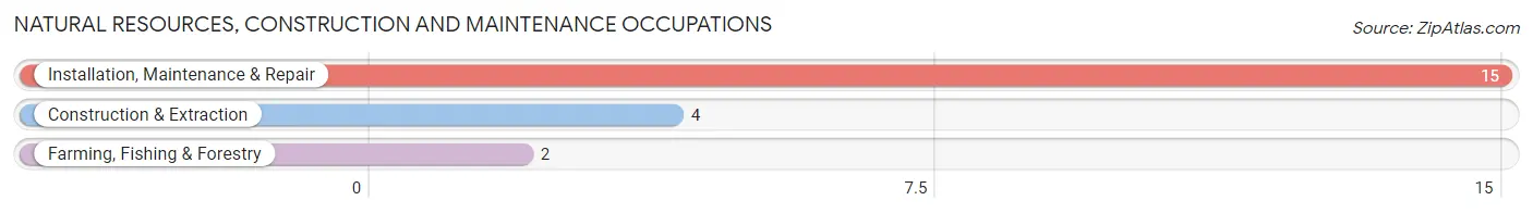 Natural Resources, Construction and Maintenance Occupations in Zip Code 04768