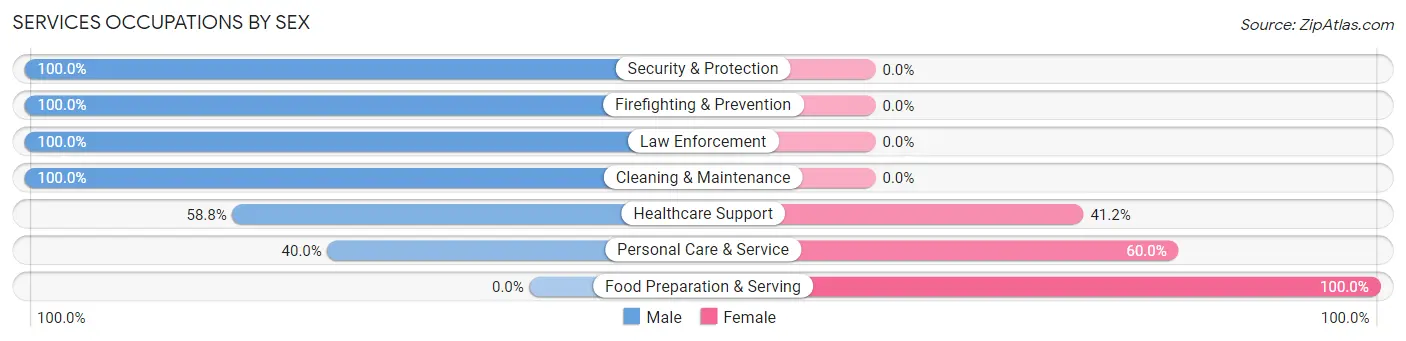Services Occupations by Sex in Zip Code 04781