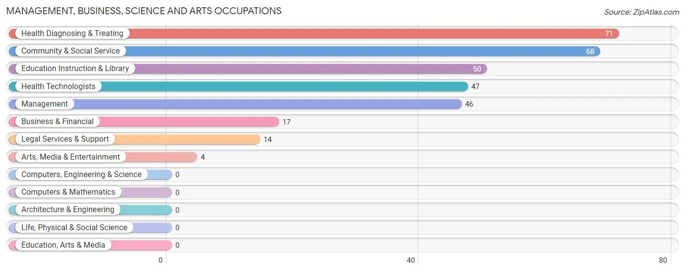Management, Business, Science and Arts Occupations in Zip Code 04785