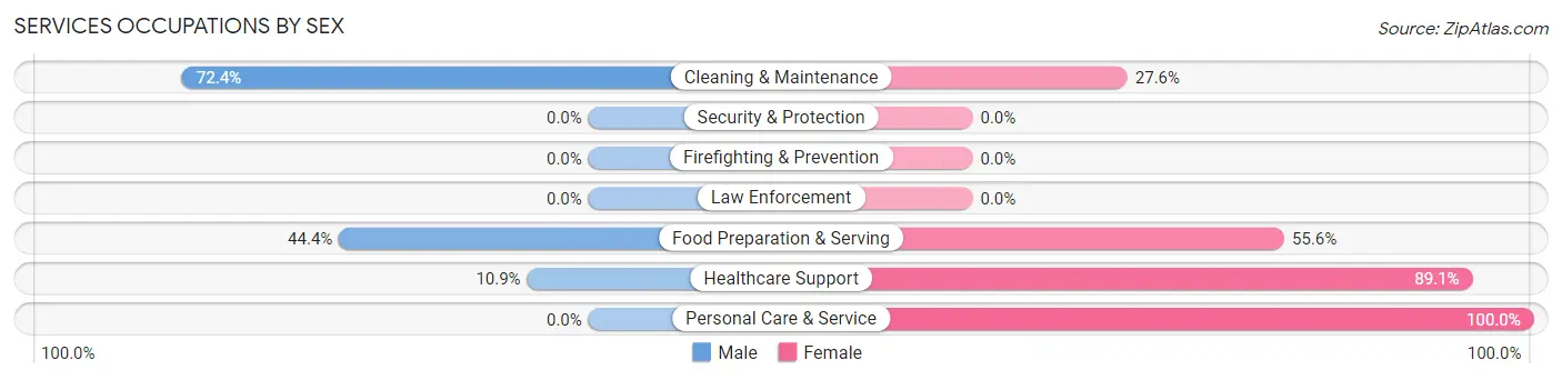Services Occupations by Sex in Zip Code 04785