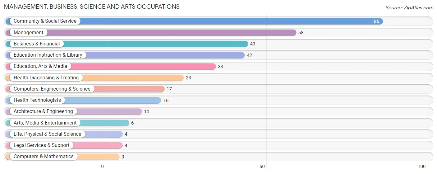 Management, Business, Science and Arts Occupations in Zip Code 04786