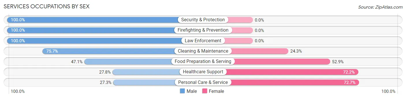 Services Occupations by Sex in Zip Code 04786