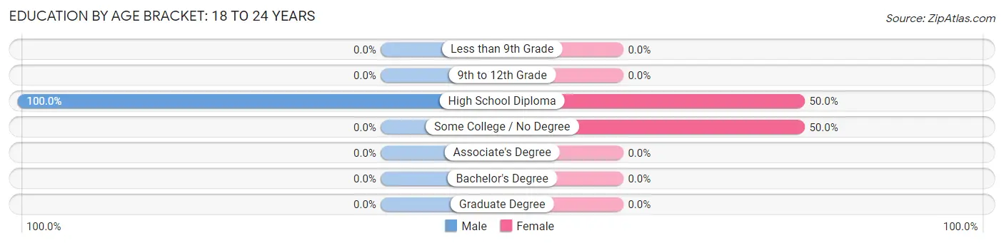 Education By Age Bracket in Zip Code 04787: 18 to 24 Years