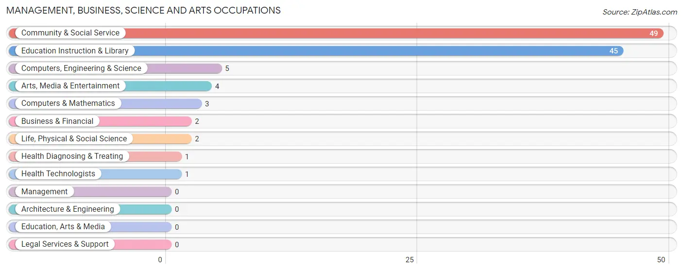 Management, Business, Science and Arts Occupations in Zip Code 04787