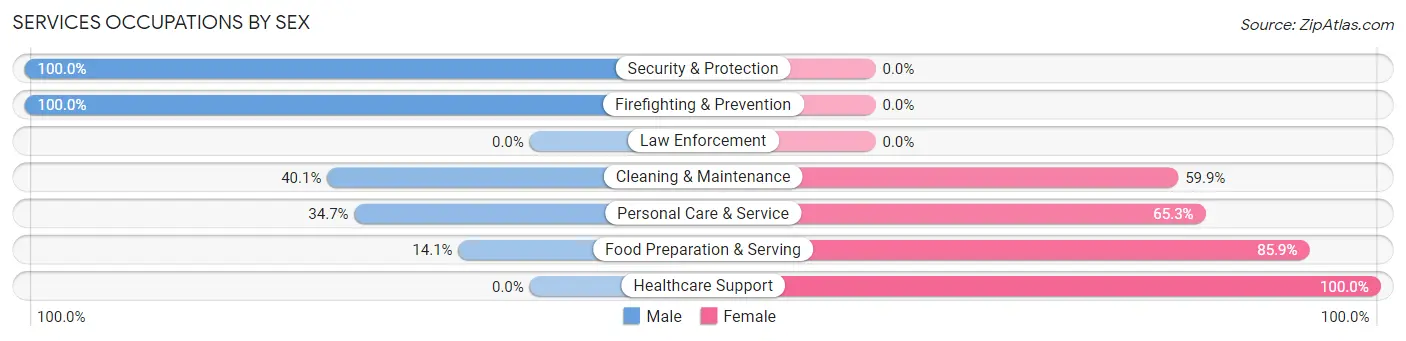 Services Occupations by Sex in Zip Code 04841