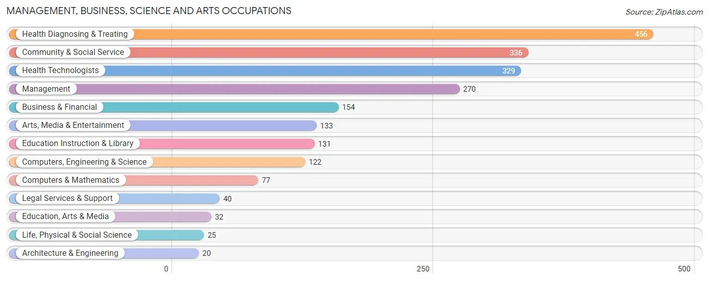 Management, Business, Science and Arts Occupations in Zip Code 04843