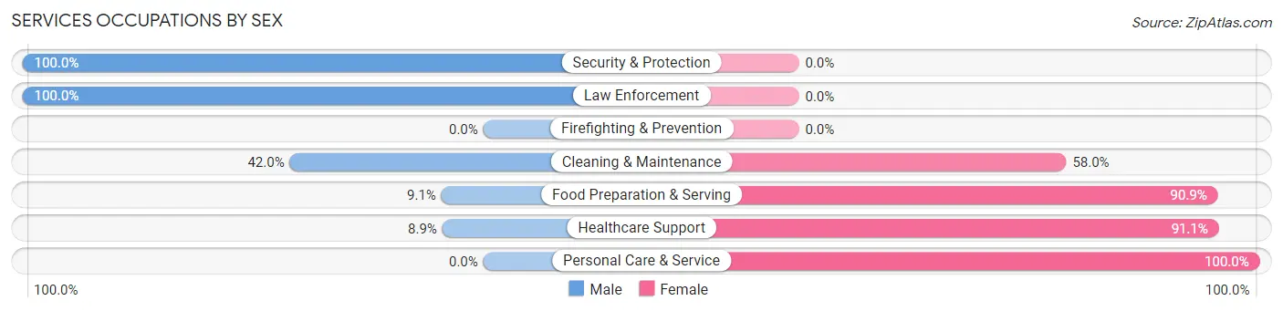 Services Occupations by Sex in Zip Code 04847