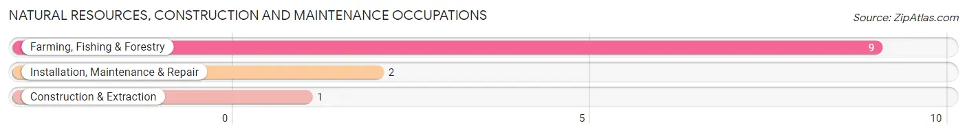 Natural Resources, Construction and Maintenance Occupations in Zip Code 04851