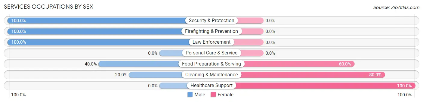 Services Occupations by Sex in Zip Code 04854