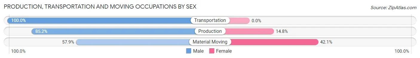 Production, Transportation and Moving Occupations by Sex in Zip Code 04856