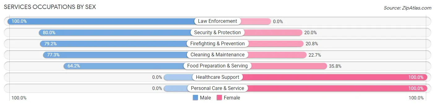Services Occupations by Sex in Zip Code 04856