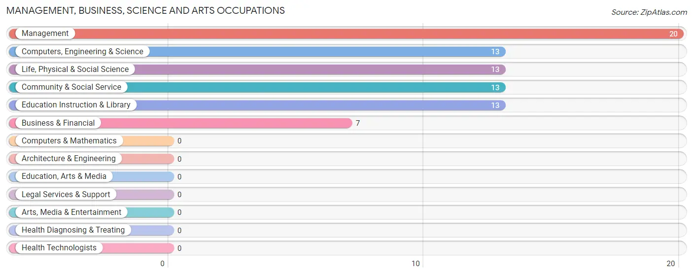 Management, Business, Science and Arts Occupations in Zip Code 04859