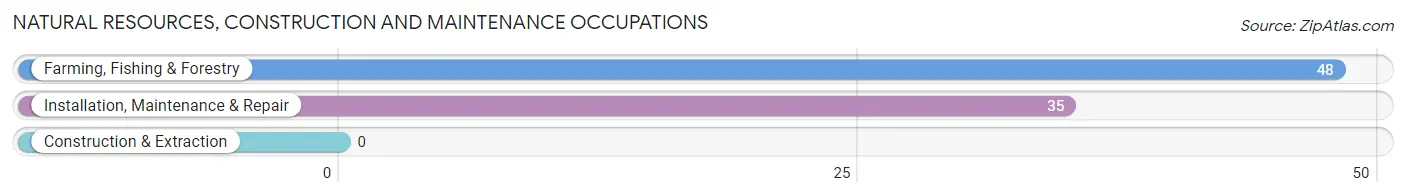 Natural Resources, Construction and Maintenance Occupations in Zip Code 04859