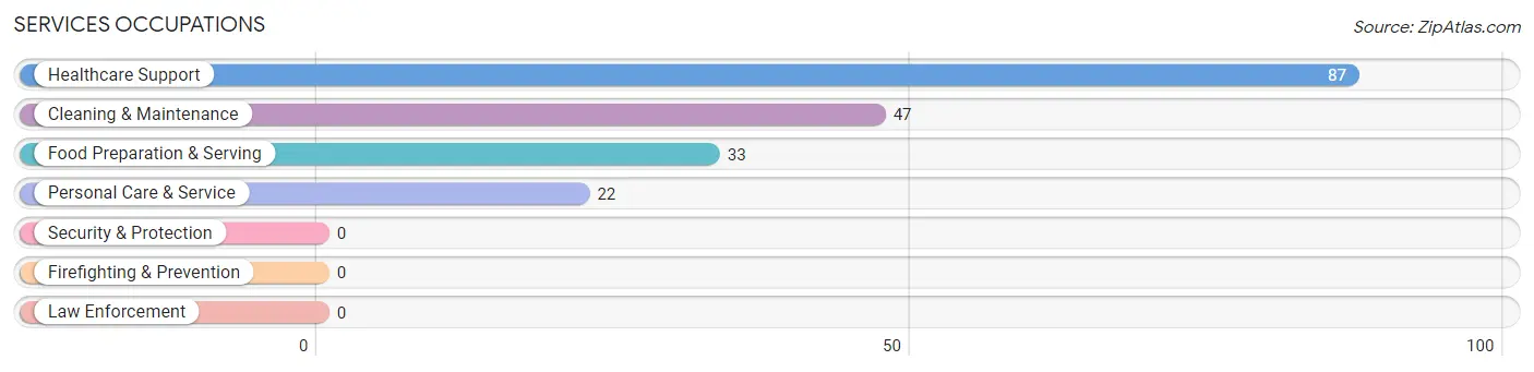 Services Occupations in Zip Code 04861