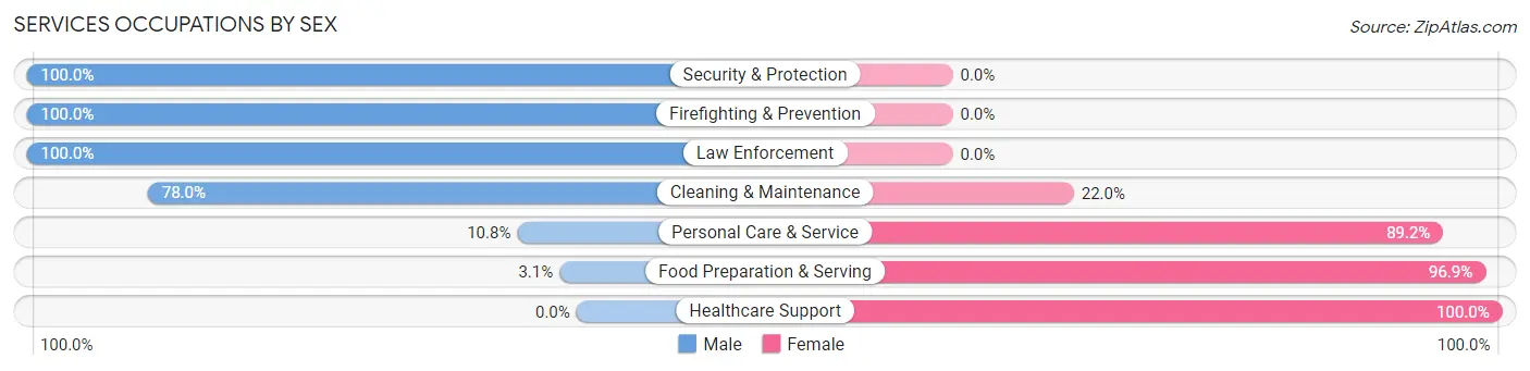 Services Occupations by Sex in Zip Code 04862