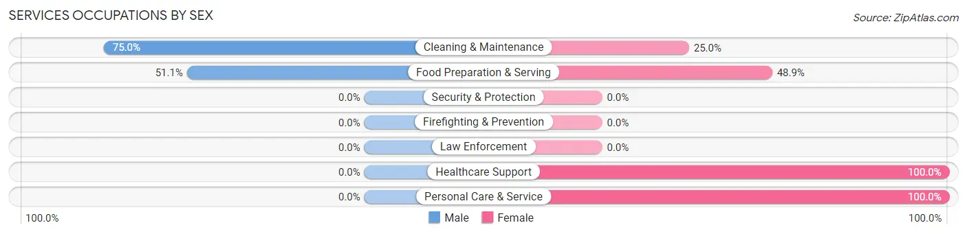 Services Occupations by Sex in Zip Code 04910