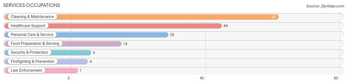 Services Occupations in Zip Code 04911