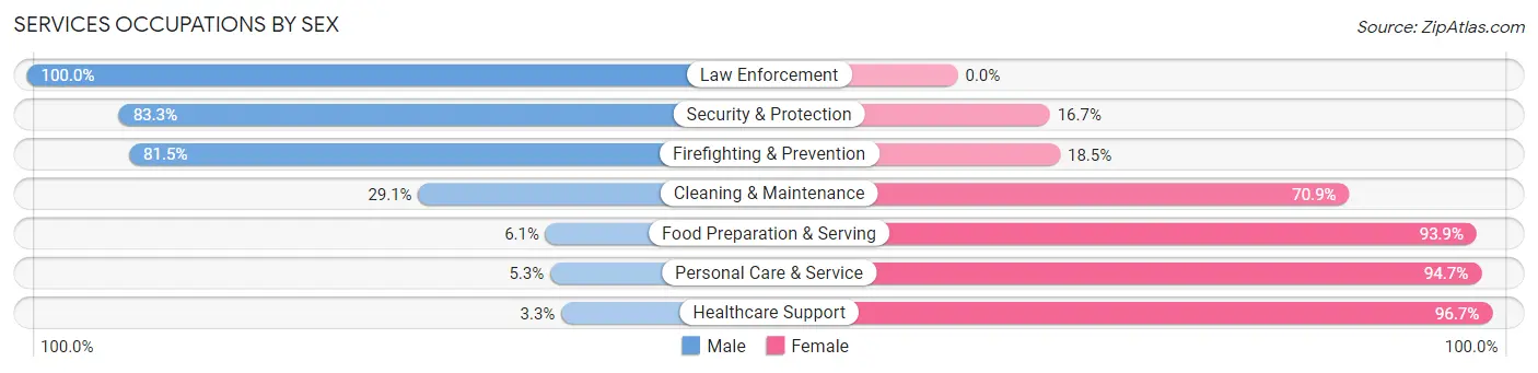 Services Occupations by Sex in Zip Code 04915