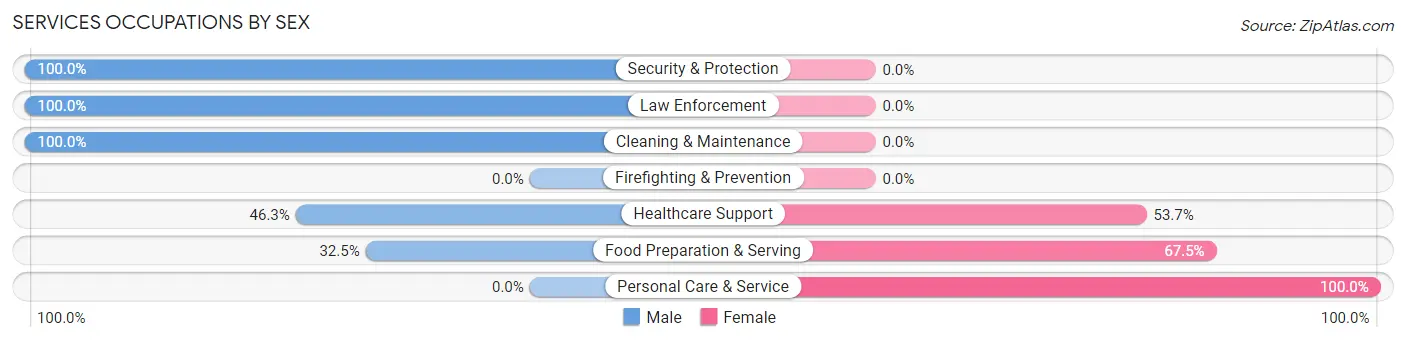 Services Occupations by Sex in Zip Code 04924