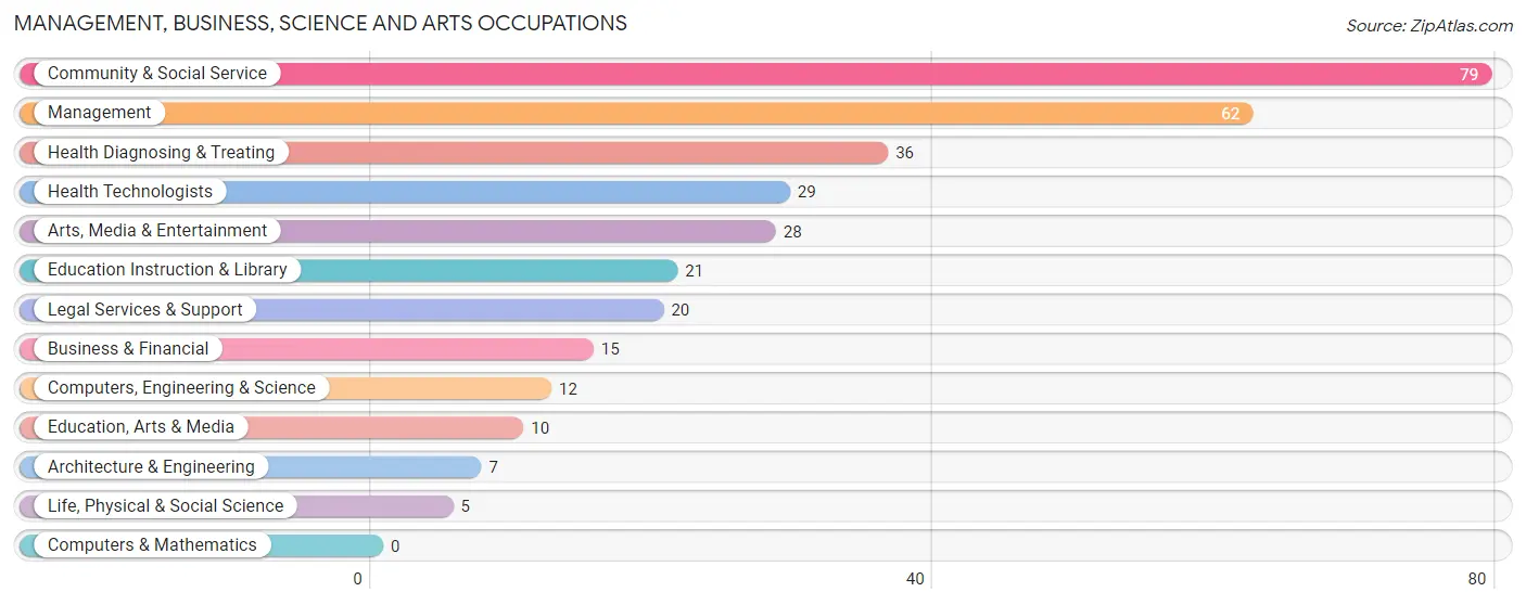 Management, Business, Science and Arts Occupations in Zip Code 04928