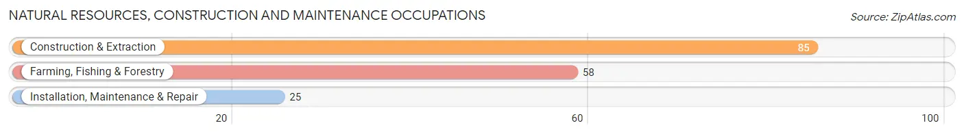 Natural Resources, Construction and Maintenance Occupations in Zip Code 04928