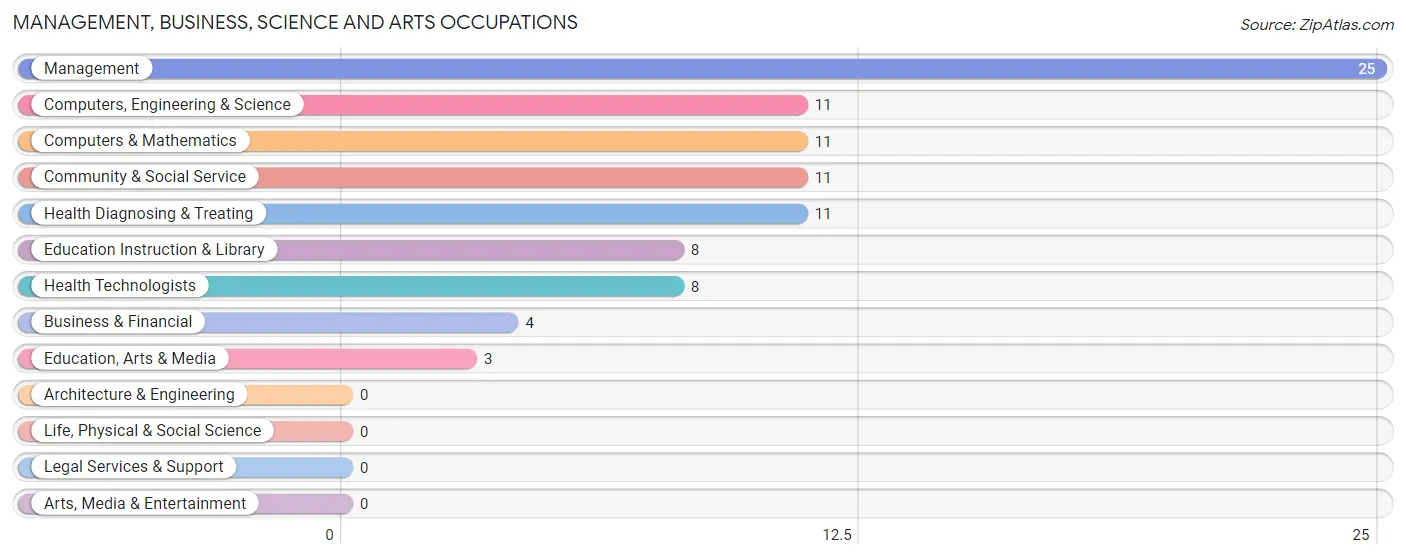 Management, Business, Science and Arts Occupations in Zip Code 04929