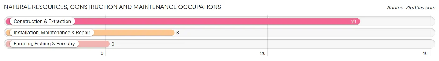 Natural Resources, Construction and Maintenance Occupations in Zip Code 04929