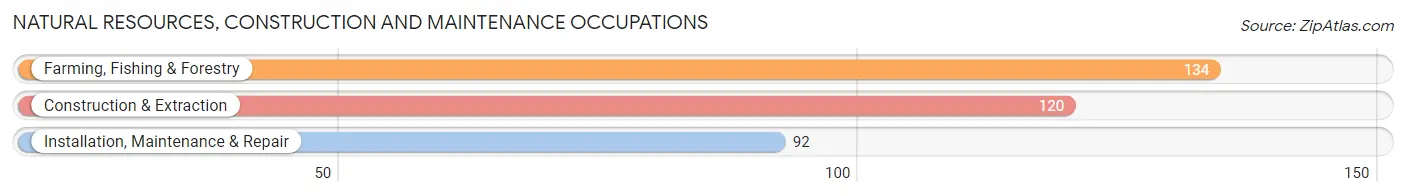 Natural Resources, Construction and Maintenance Occupations in Zip Code 04937