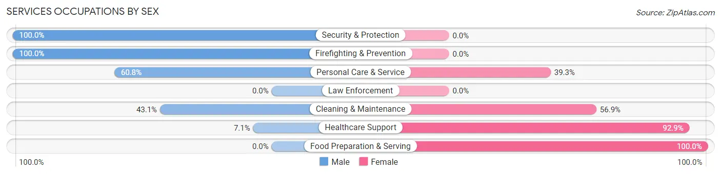 Services Occupations by Sex in Zip Code 04937