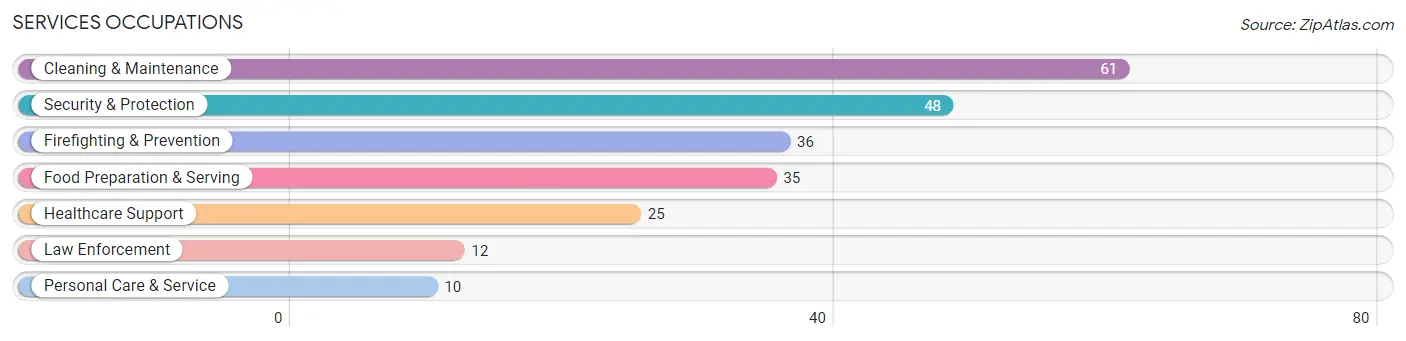 Services Occupations in Zip Code 04941
