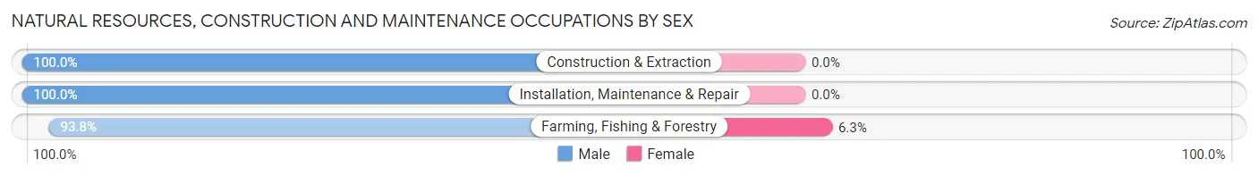 Natural Resources, Construction and Maintenance Occupations by Sex in Zip Code 04942