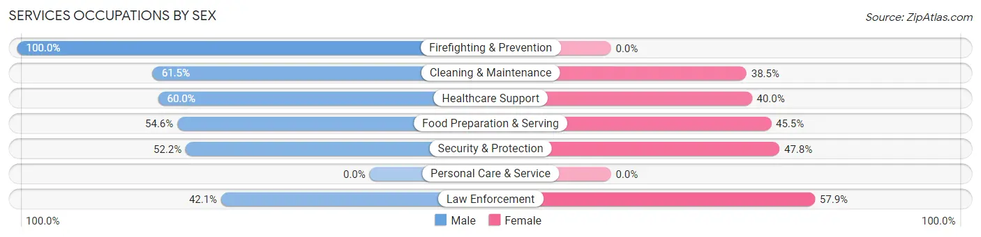 Services Occupations by Sex in Zip Code 04943